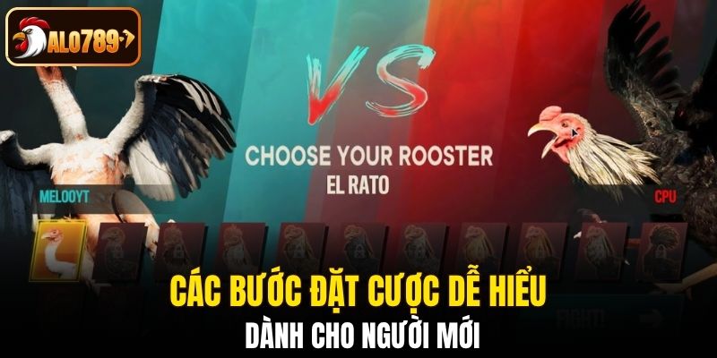 Các bước đặt cược dễ hiểu dành cho người mới