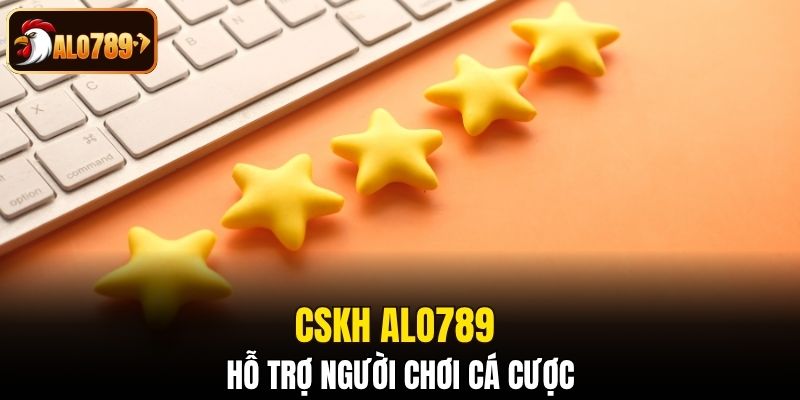 CSKH Alo789 hỗ trợ người chơi cá cược