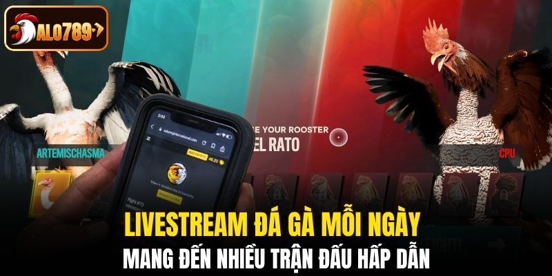Livestream đá gà mỗi ngày mang đến nhiều trận đấu hấp dẫn