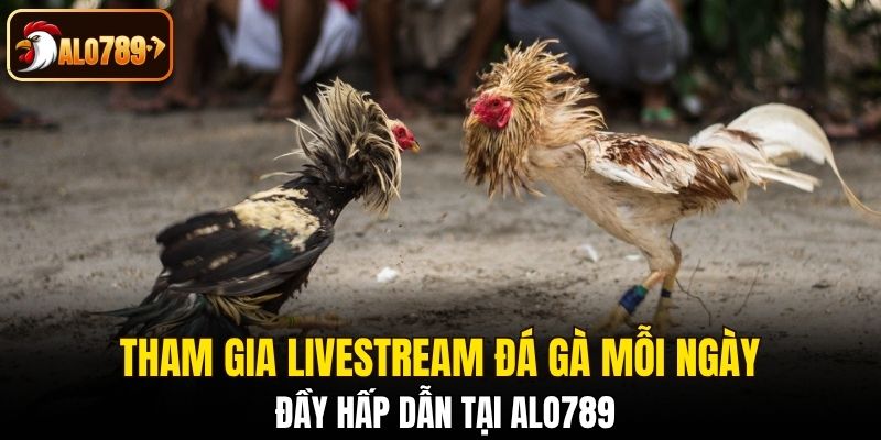 livestream đá gà