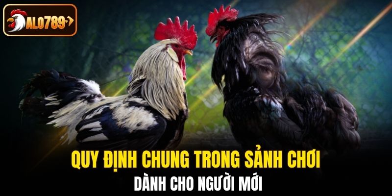 Quy định chung trong sảnh chơi dành cho người mới