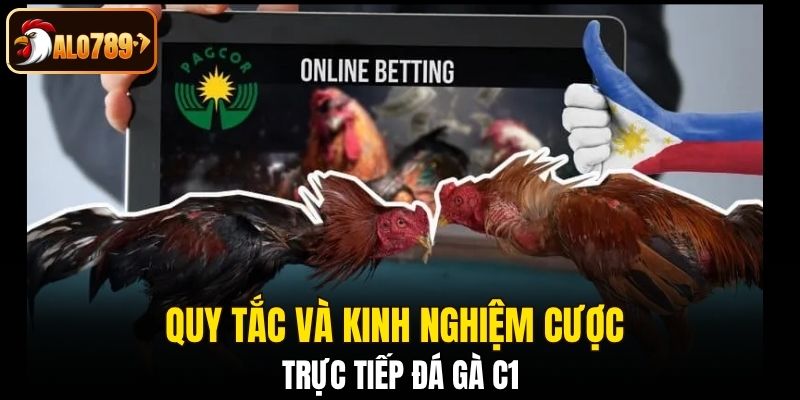 Quy tắc và kinh nghiệm cược trực tiếp đá gà C1