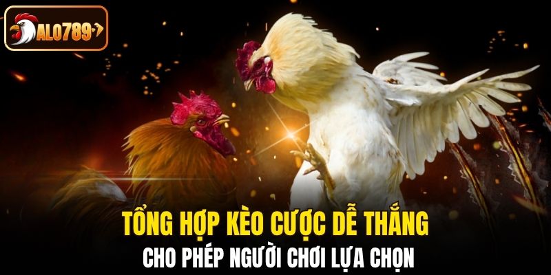 Tổng hợp kèo cược dễ thắng cho phép người chơi lựa chọn